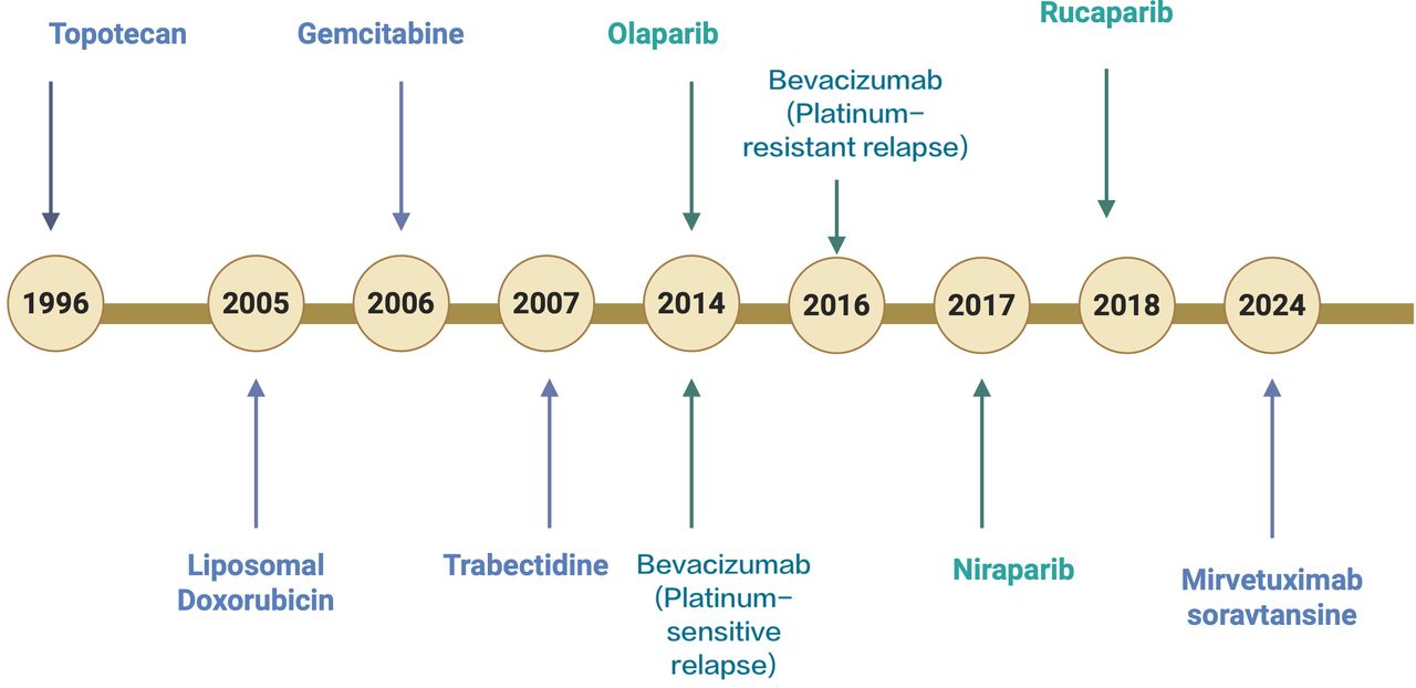 New frontiers in the management of recurrent epithelial ovarian cancer ...